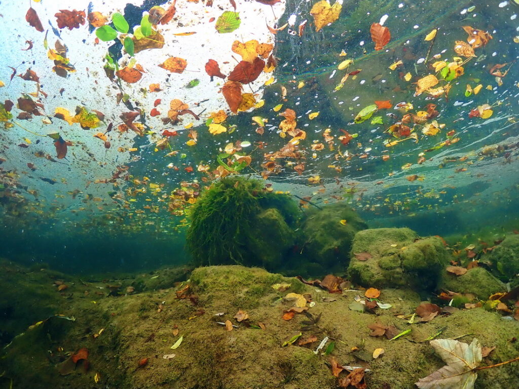 UW Jana Subic - Idrijca